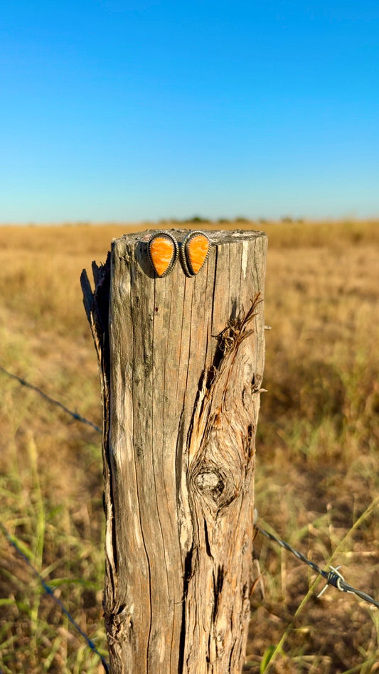 Orange spiny studs