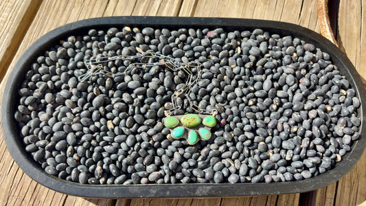 The Kamryn sonoran half cluster