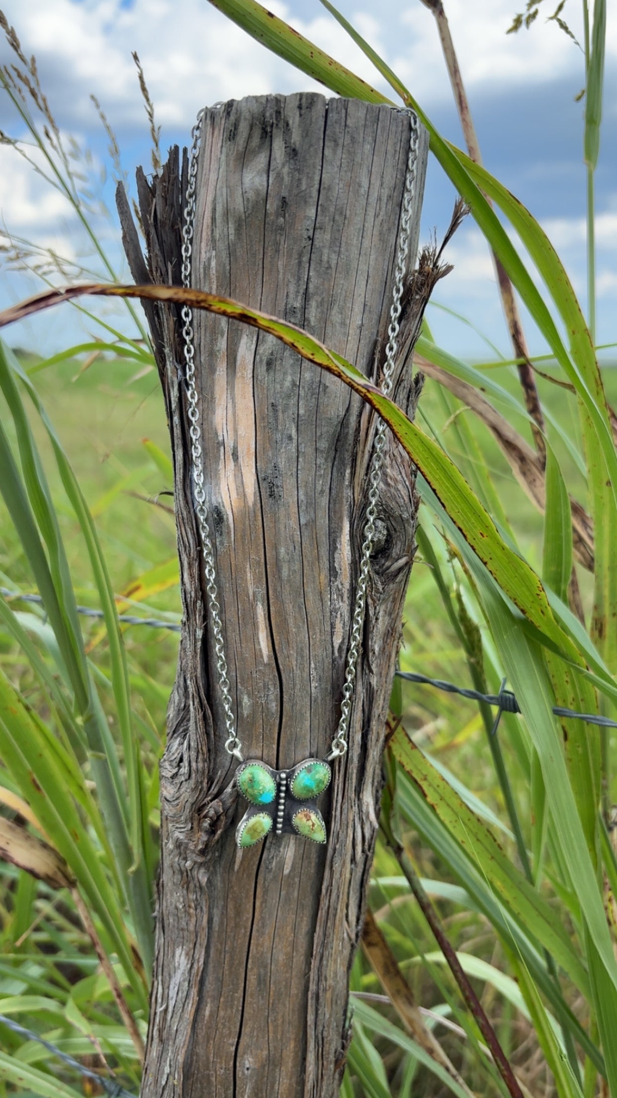 Sonoran mountain Butterfly necklace