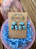 The Cheyenne Studs